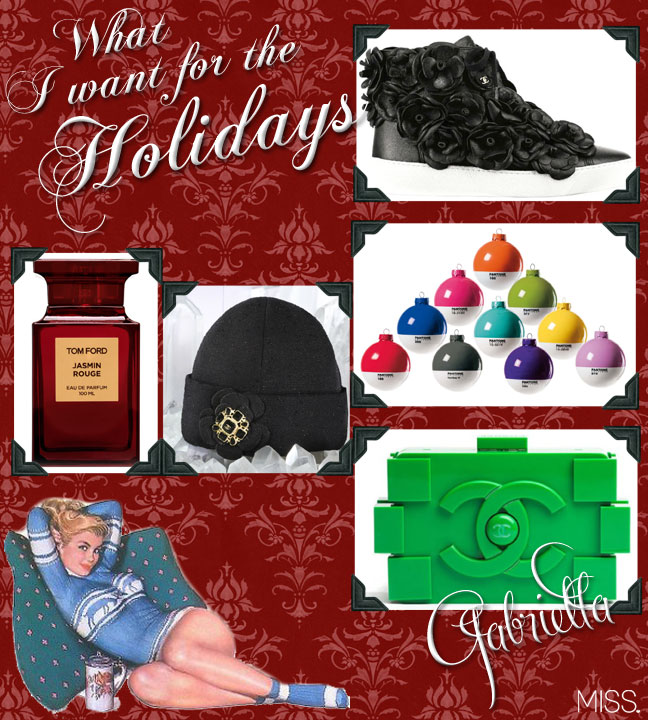 what i want for the holidays gabriella 2012